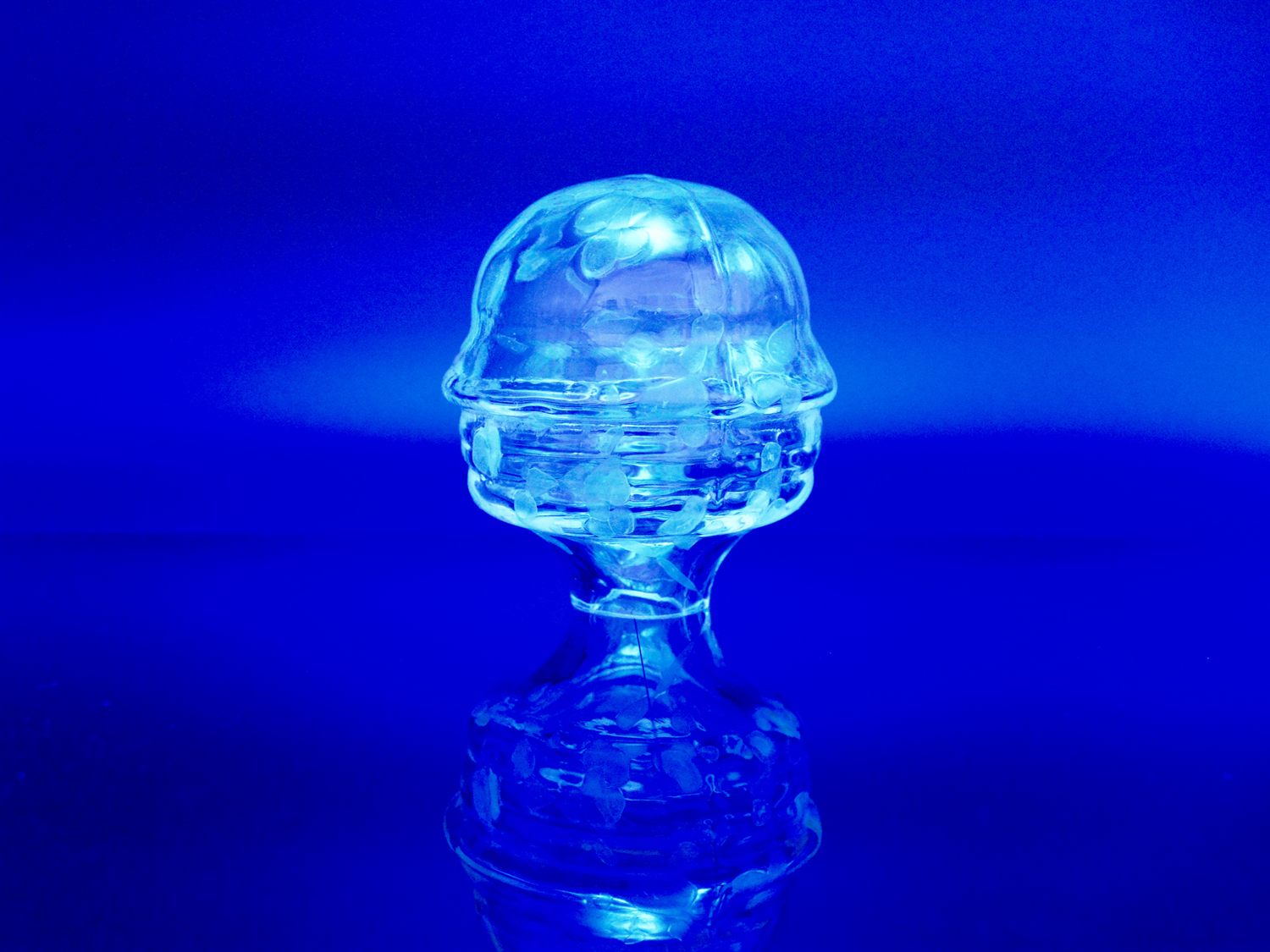Rotated Head in Clear