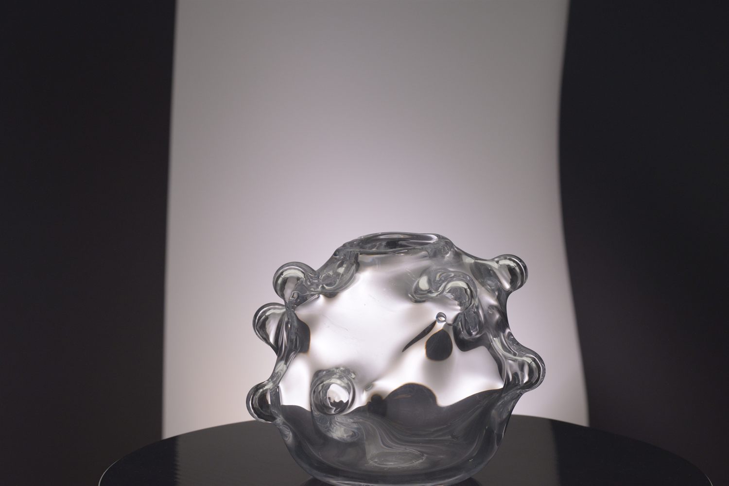 Radiolaria with Tentacles in Clear
